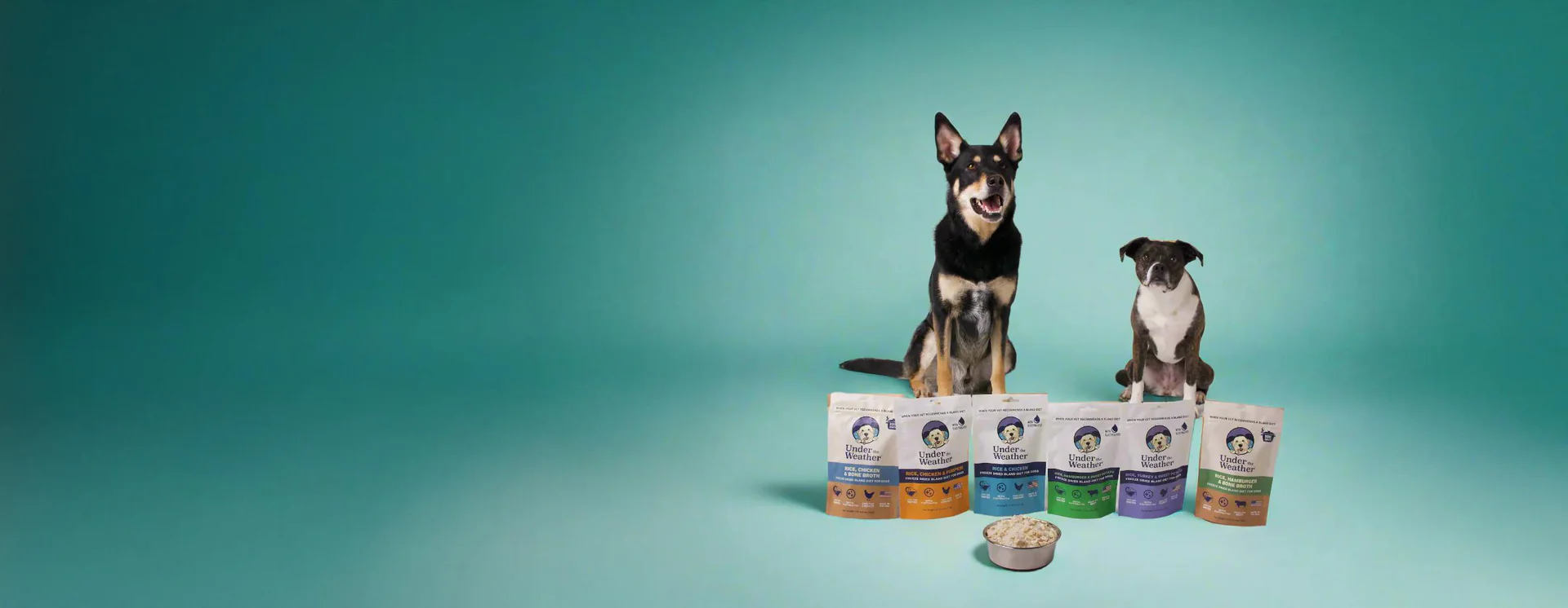 Elevate Your Pet’s Daily Wellness