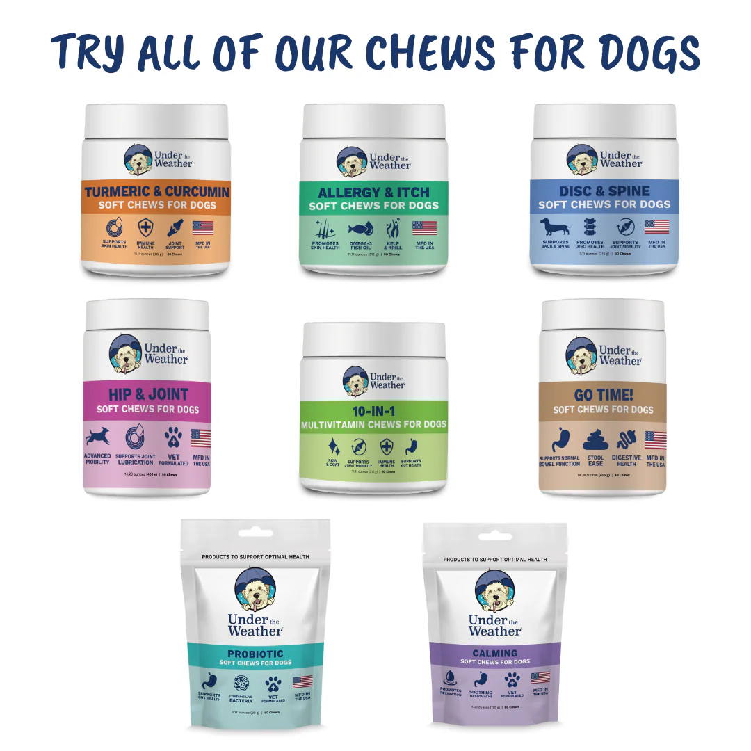 10-in-1 Multivitamin Chews for Dogs - Image 7