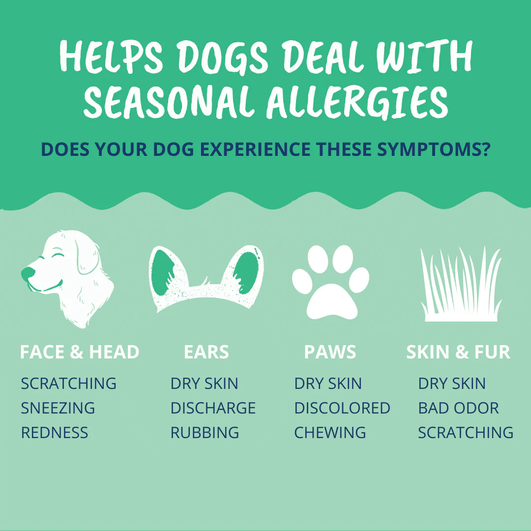 Allergy and Itch Powder For Dogs - Image 3