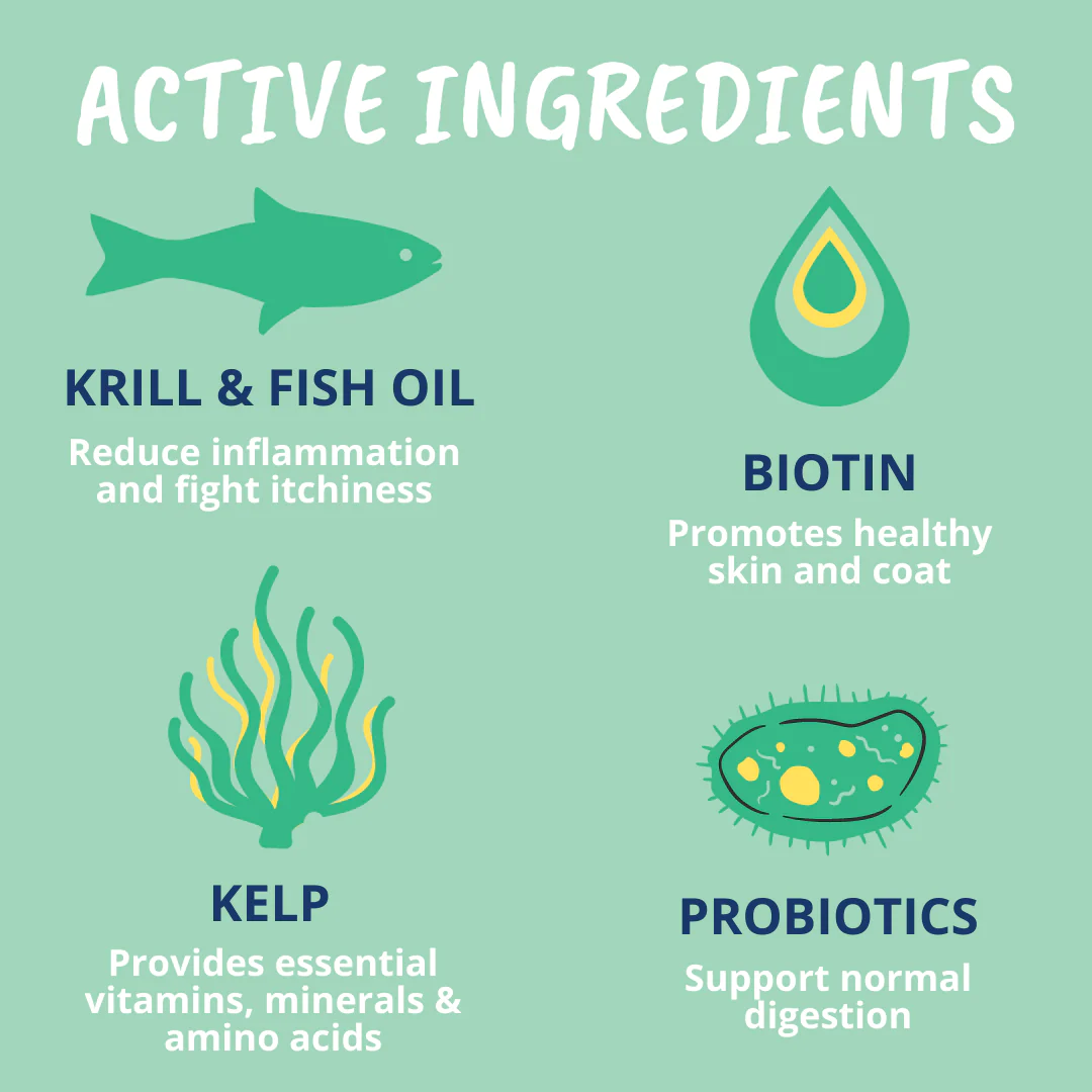 Allergy and Itch Powder For Dogs - Image 4
