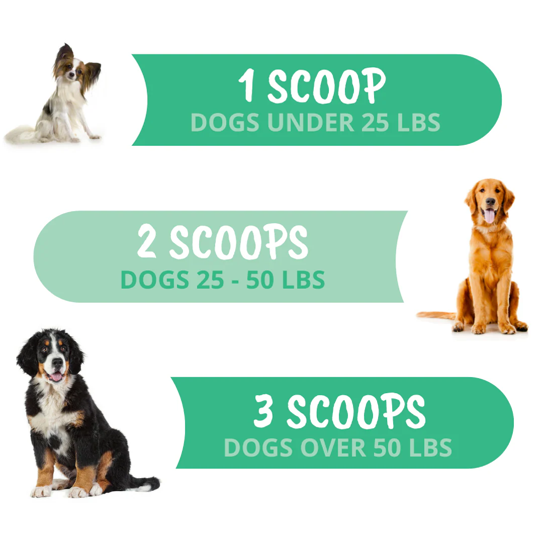 Allergy and Itch Powder For Dogs - Image 5