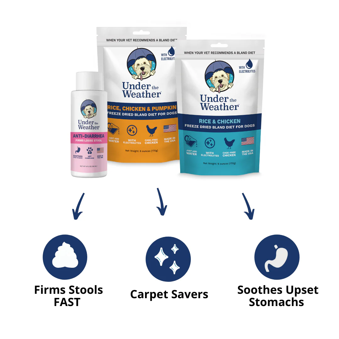 Anti-Diarrhea Bundle For Dogs - Image 2