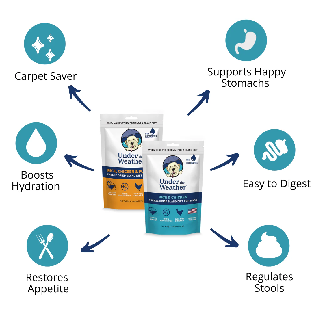 Anti-Diarrhea Bundle For Dogs - Image 4