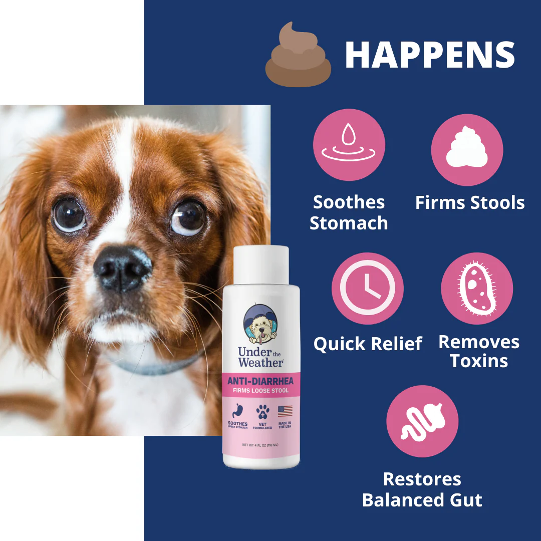 Anti-Diarrhea Bundle For Dogs - Image 5