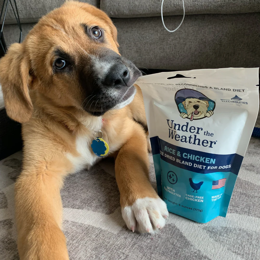 Anti-Diarrhea Bundle For Dogs - Image 6