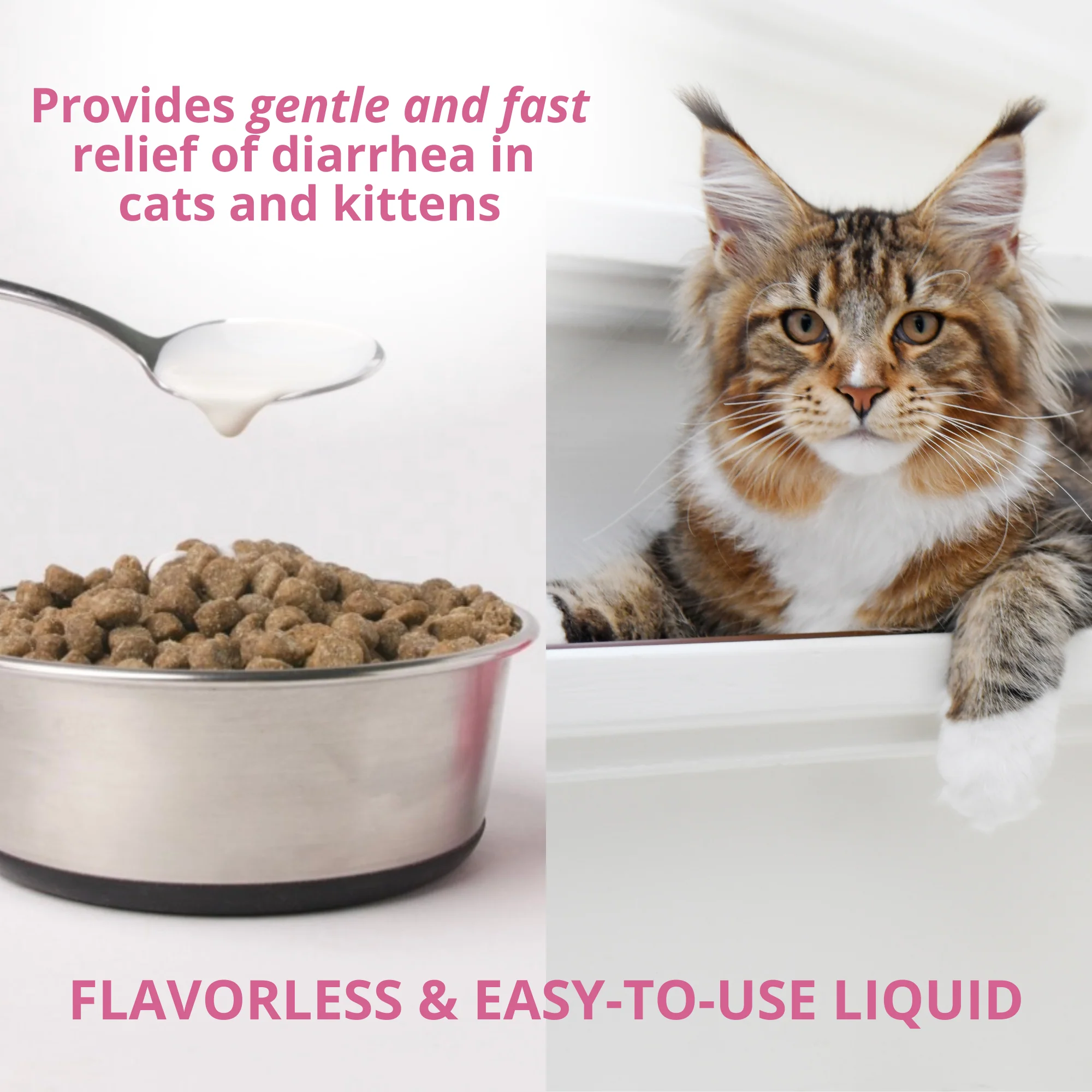 Anti-Diarrhea Liquid For Cats - Image 3