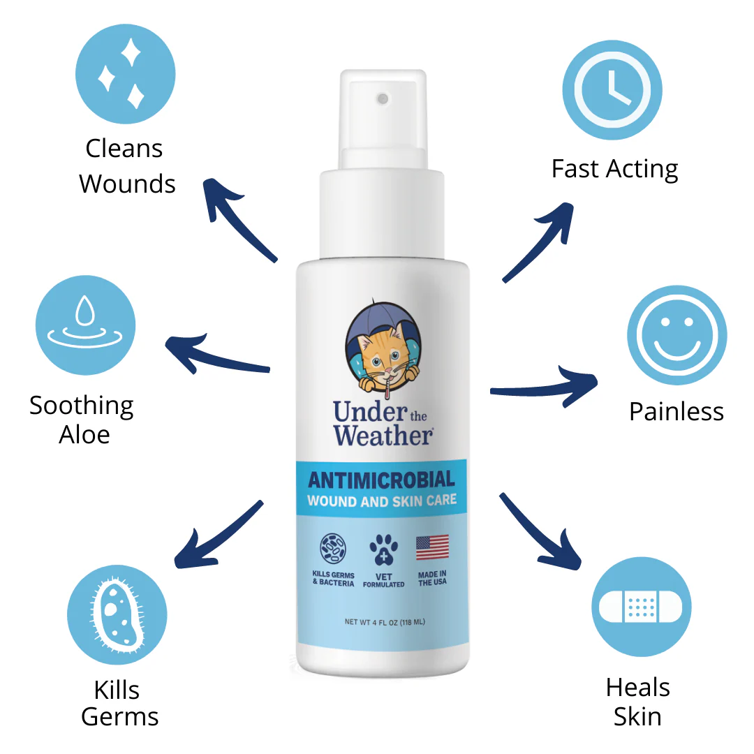 Antimicrobial Wound Spray and Calming Chews for Cats - Image 4