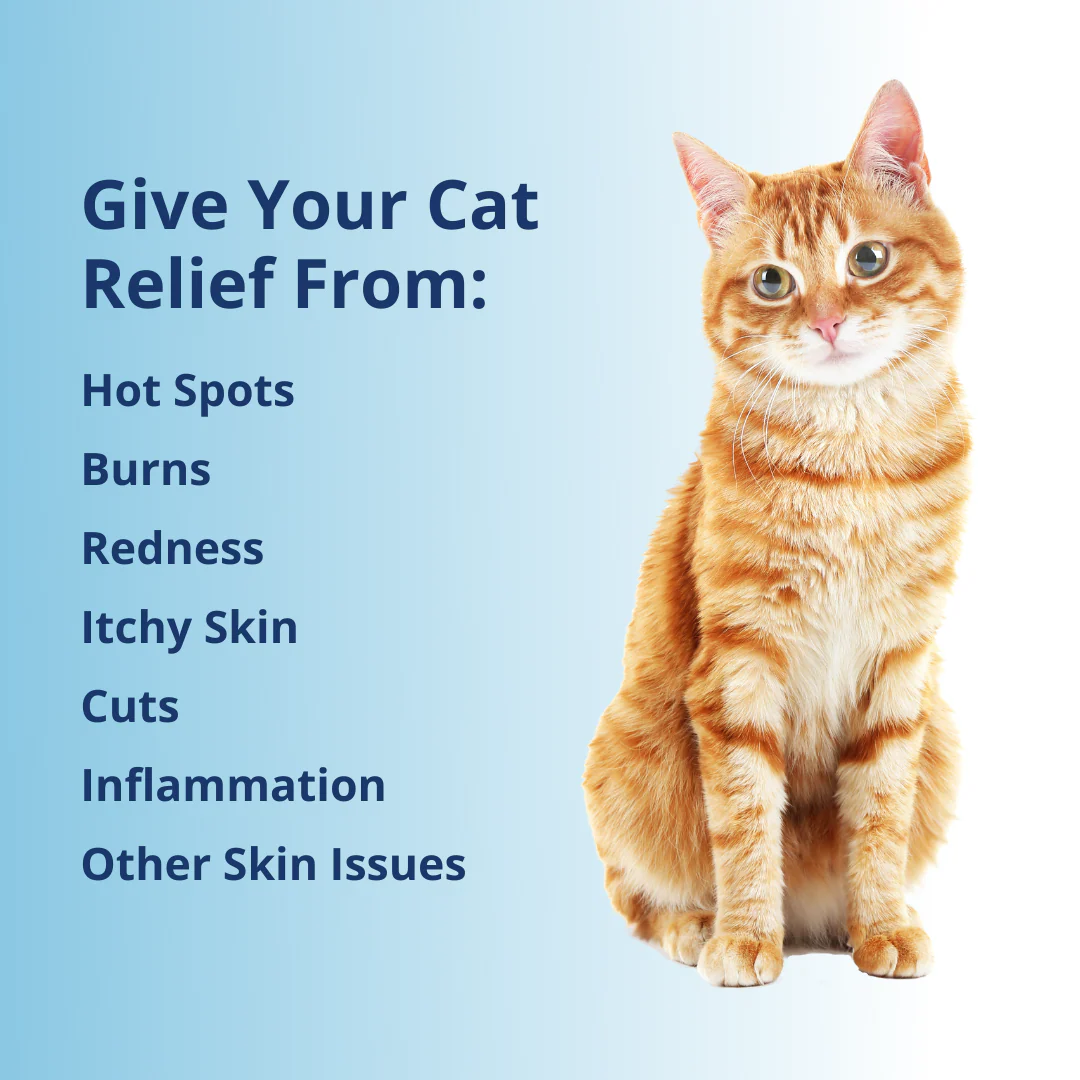 Antimicrobial Wound Spray For Cats - Image 4