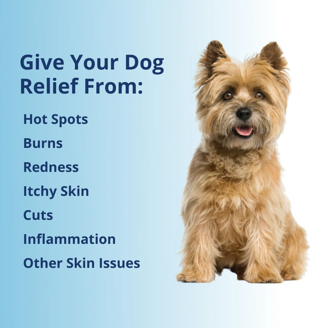 Antimicrobial Wound Spray For Dogs - Image 4