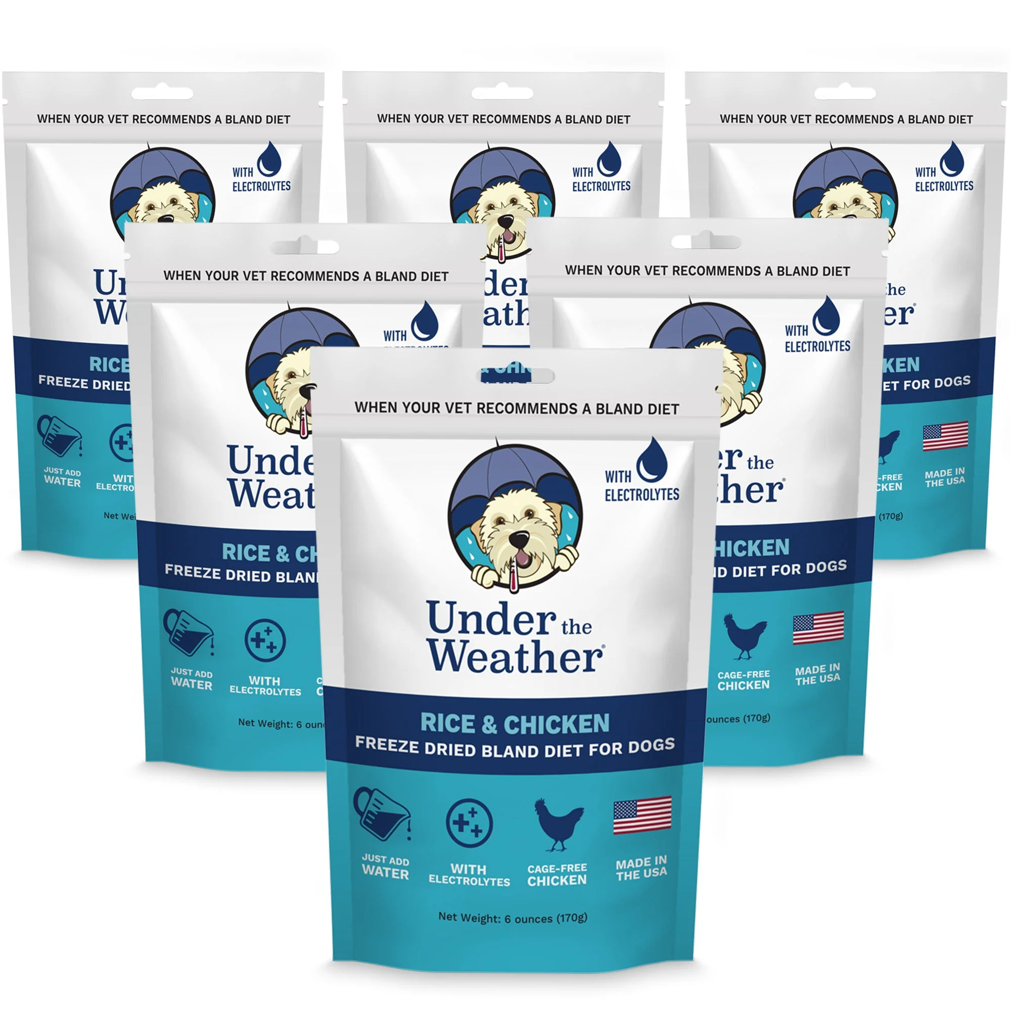 Bland Diet for Dogs - Image 10