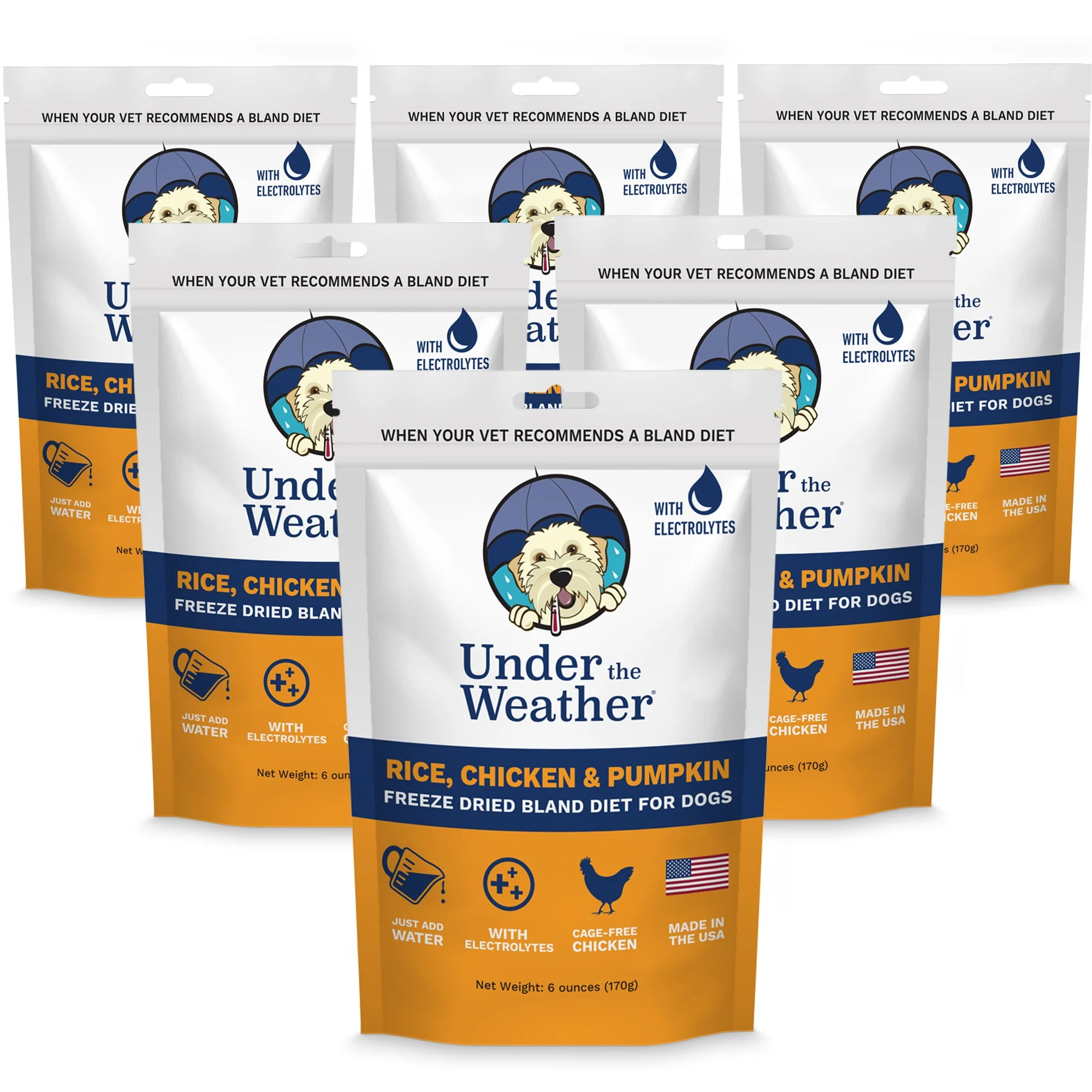 Bland Diet for Dogs - Image 14