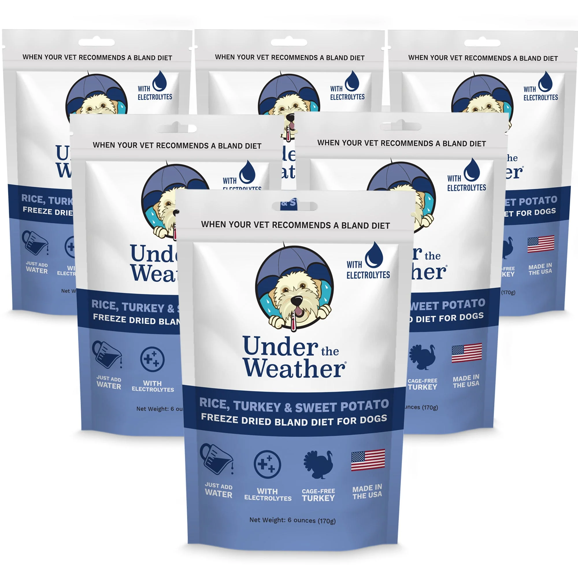 Bland Diet for Dogs - Image 21