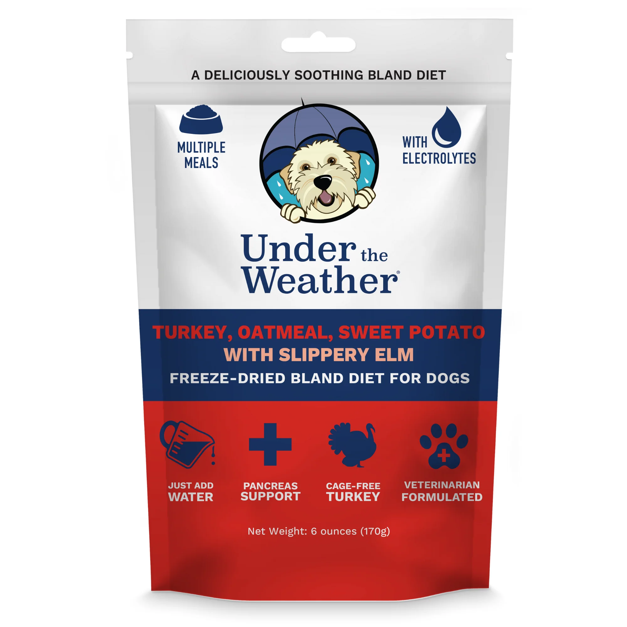 Bland Diet for Dogs - Image 22