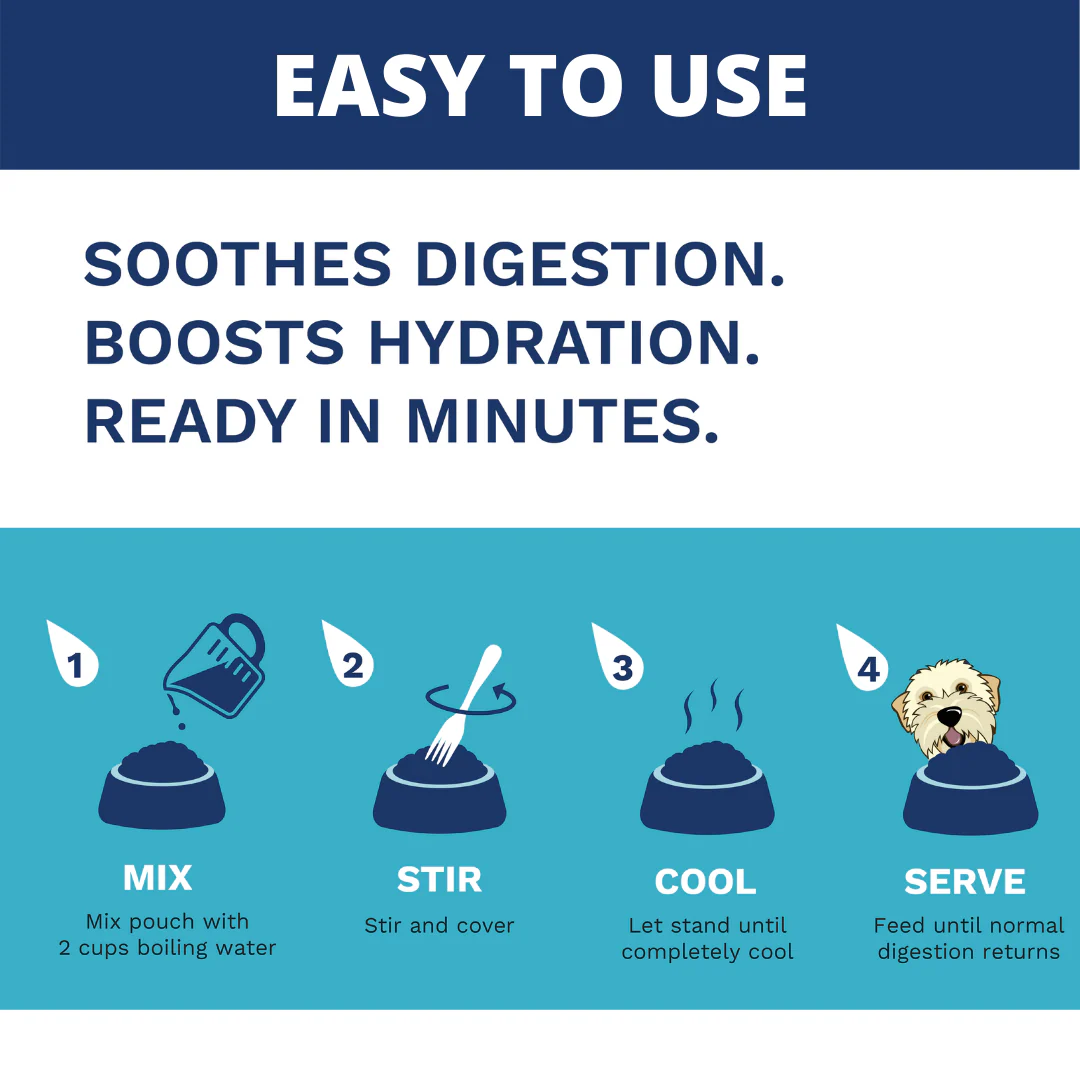 Bland Diet for Dogs - Image 4