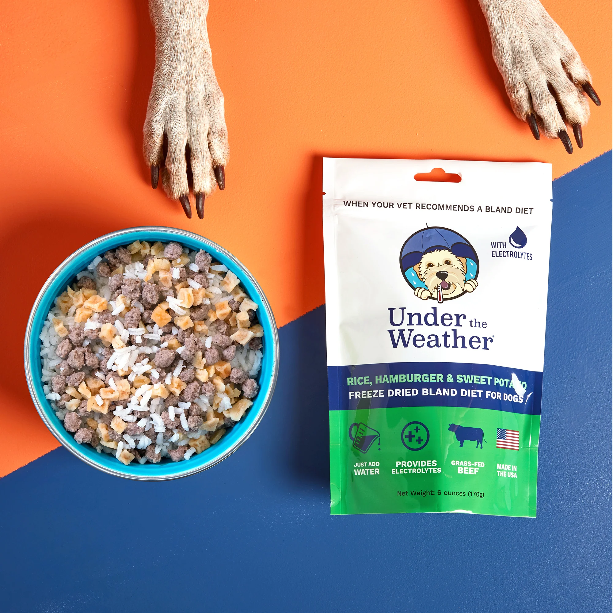 Burger Bland Diet Bundle For Dogs - Image 7