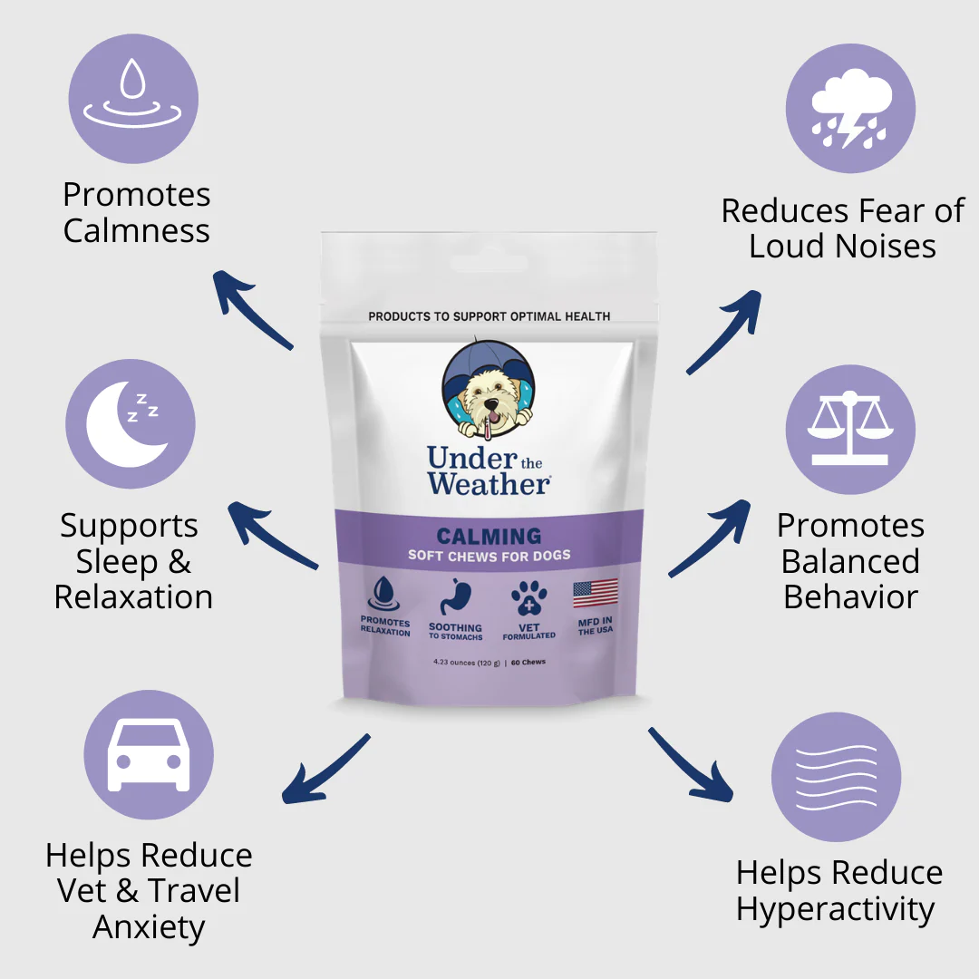 Calming Soft Chews For Dogs - 6 Pack - Image 3
