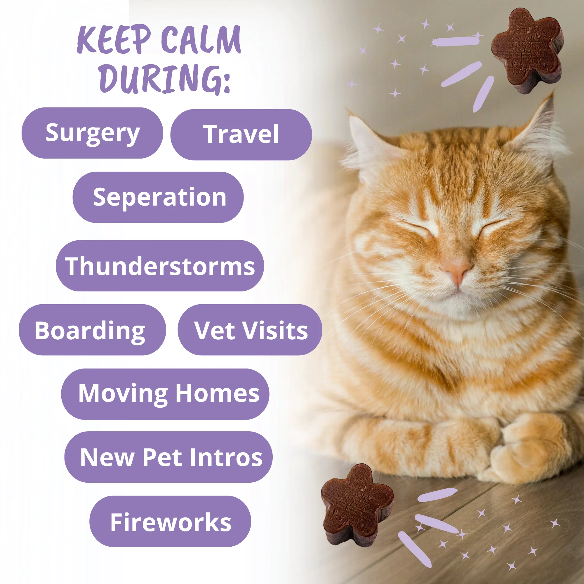Calming Soft Chews for Cats - Image 4