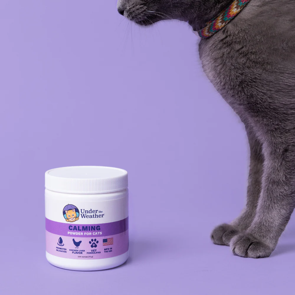 Calming Powder For Cats - Image 4