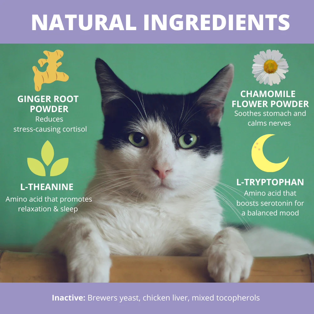 Calming Powder For Cats - Image 5