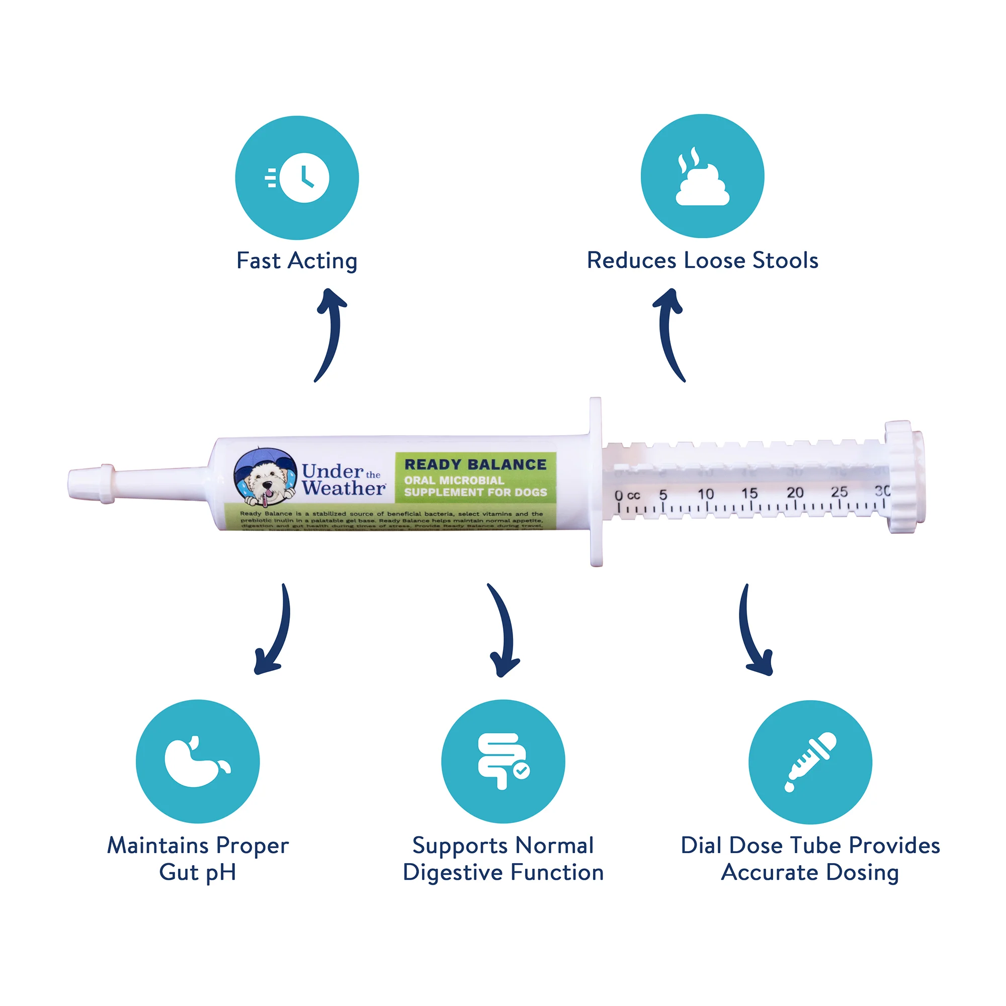 Chicken, Rice, and Pumpkin Bland Diet & Ready Balance Probiotic Gel For Dogs - Image 5