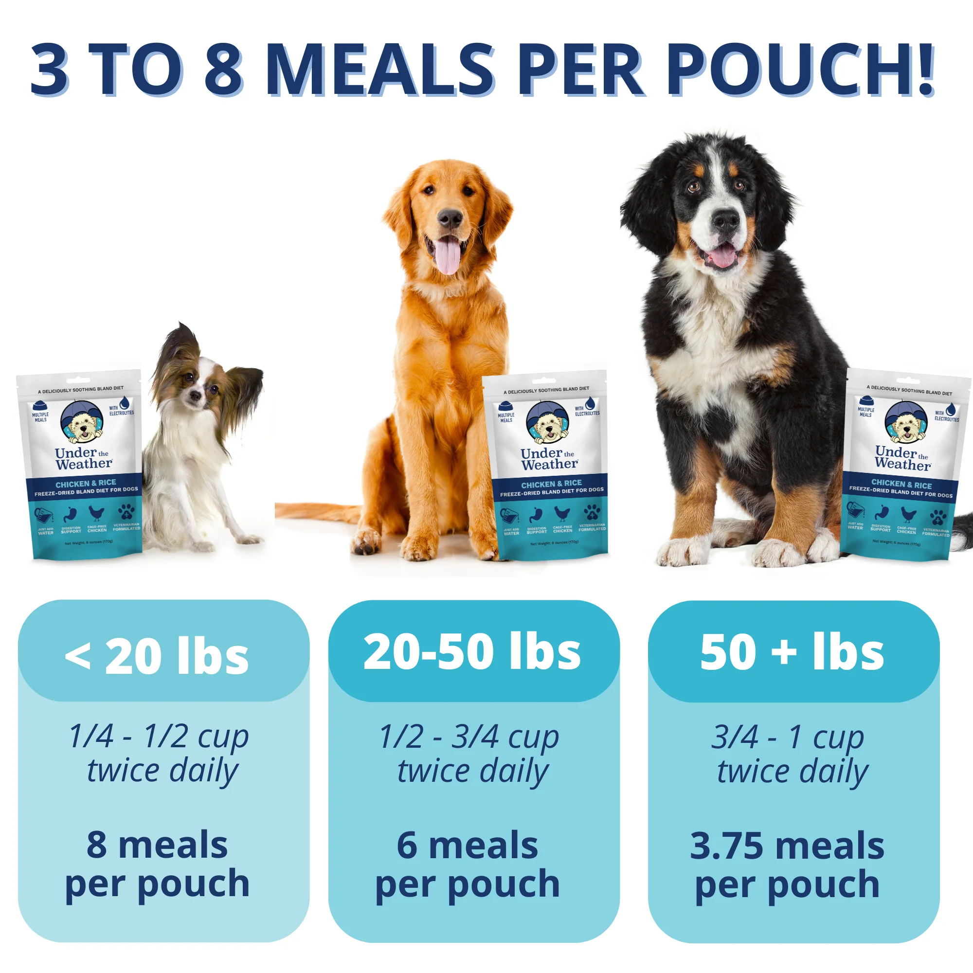 Chicken & Rice Bland Diet For Dogs - 4 Pack - Image 3