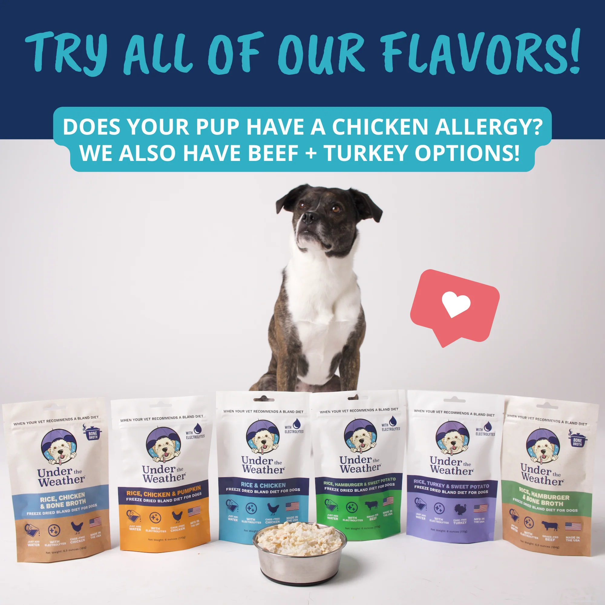 Chicken & Rice Bland Diet For Dogs - Image 7