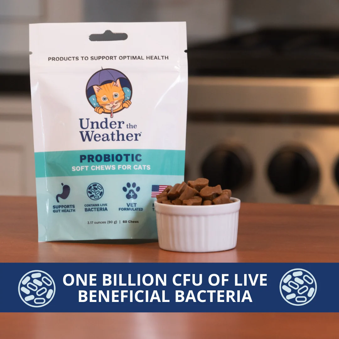 Probiotic Soft Chews For Cats - Image 4