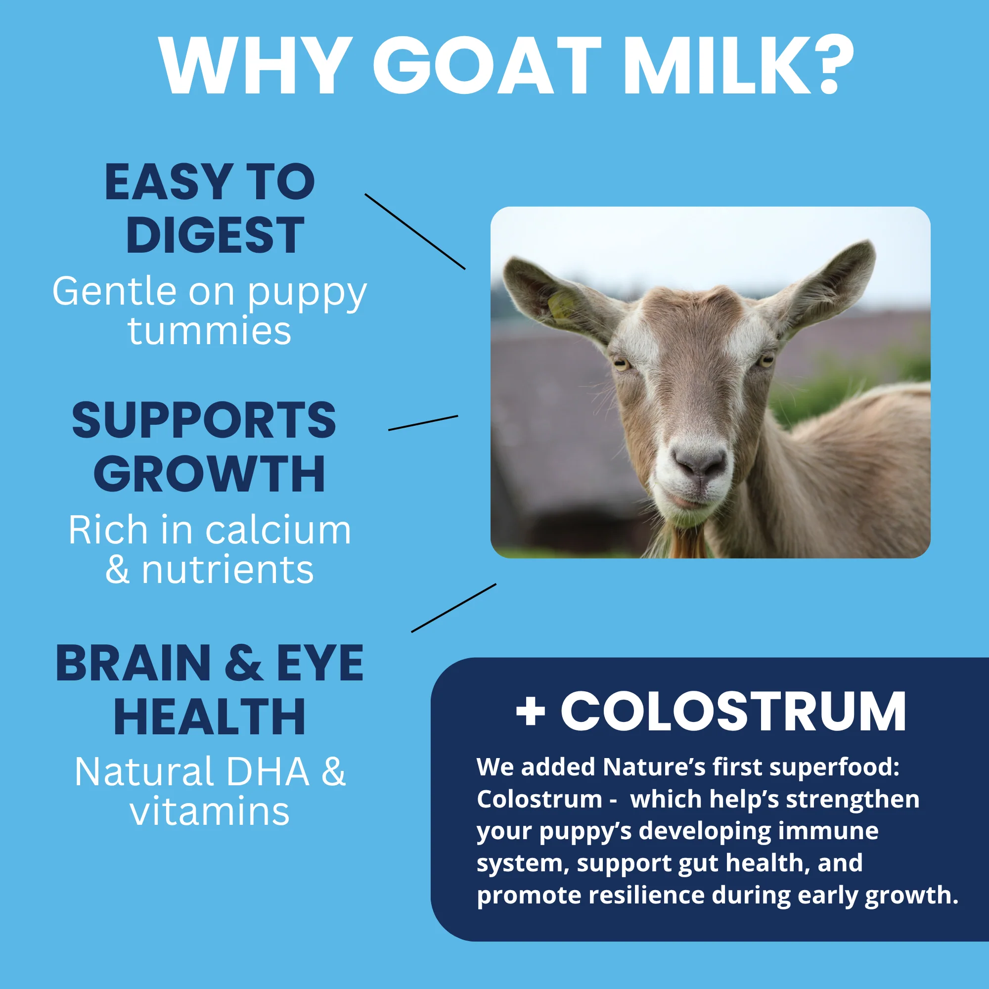 Goat Milk - Milk Replacer for Dogs and Puppies + Colostrum - Image 3