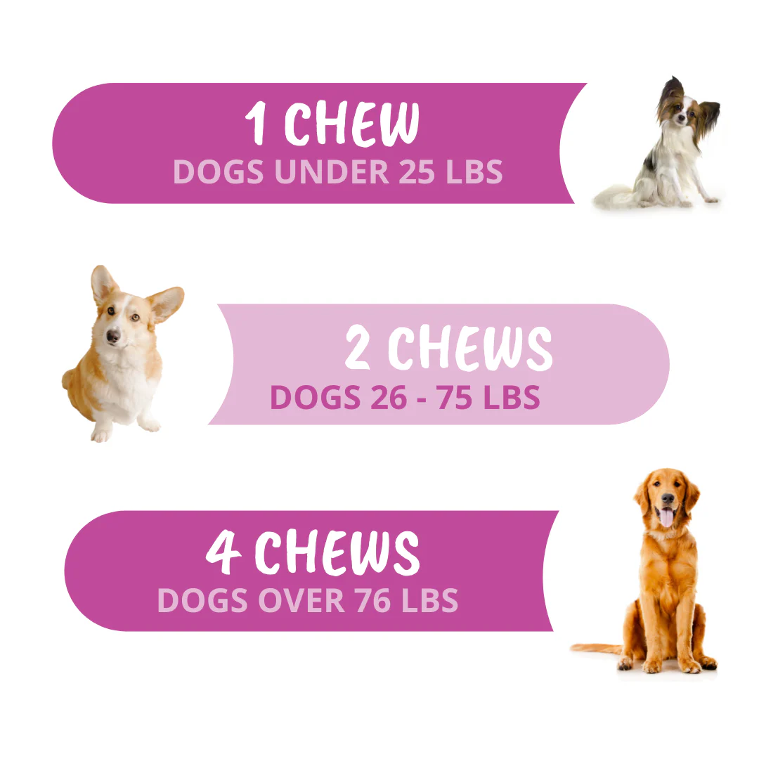 Hip & Joint Chews for Dogs - Image 6