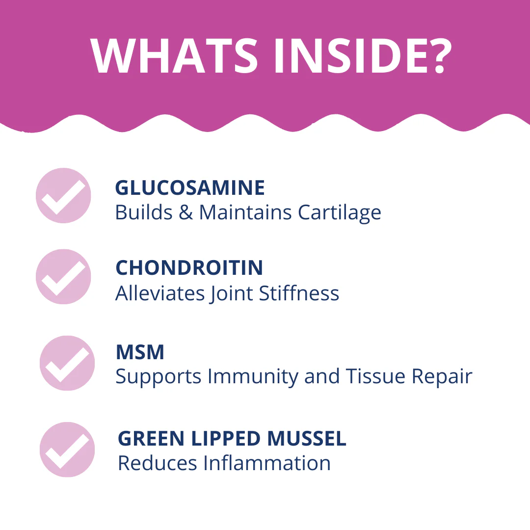 Hip & Joint Support Powder for Dogs - Image 5