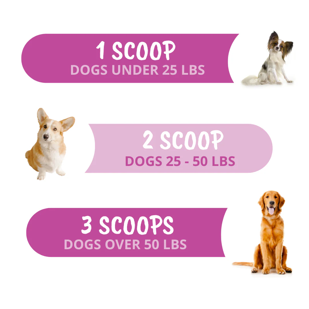 Hip & Joint Support Powder for Dogs - Image 6
