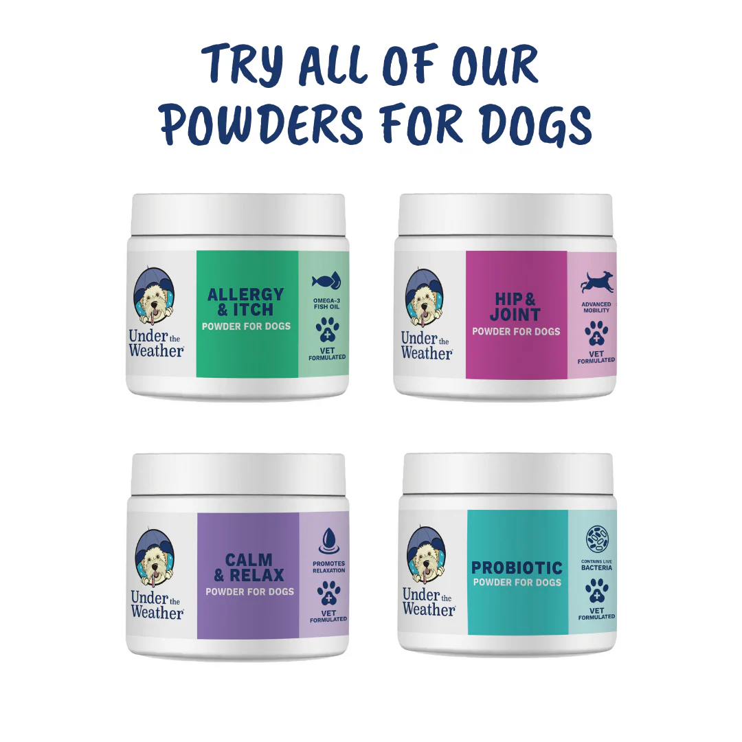 Hip & Joint Support Powder for Dogs - Image 8