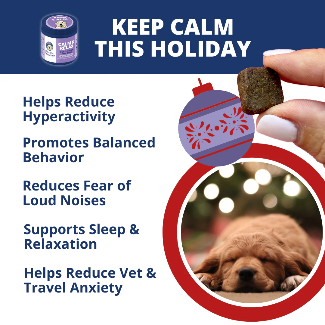 Holiday Survival Bundle For Dogs - Image 4