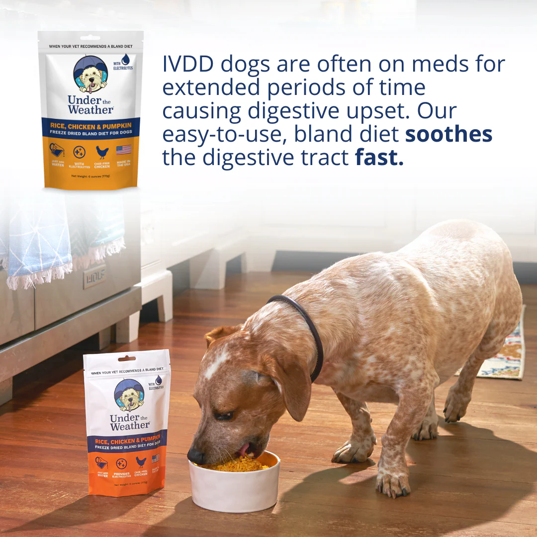 Intervertebral Disc Disease (IVDD) and Bad Back Bundle for Dogs - Image 5