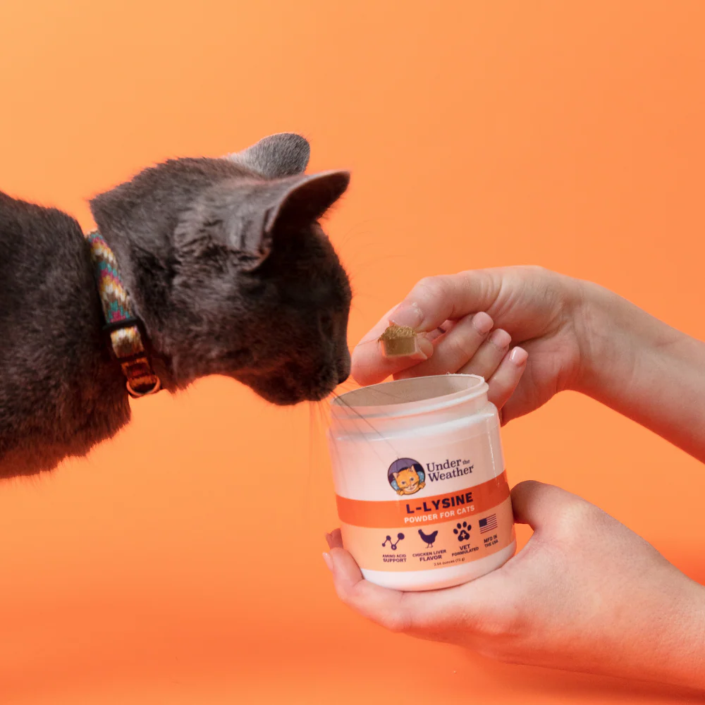 L-lysine Powder For Cats - Image 3