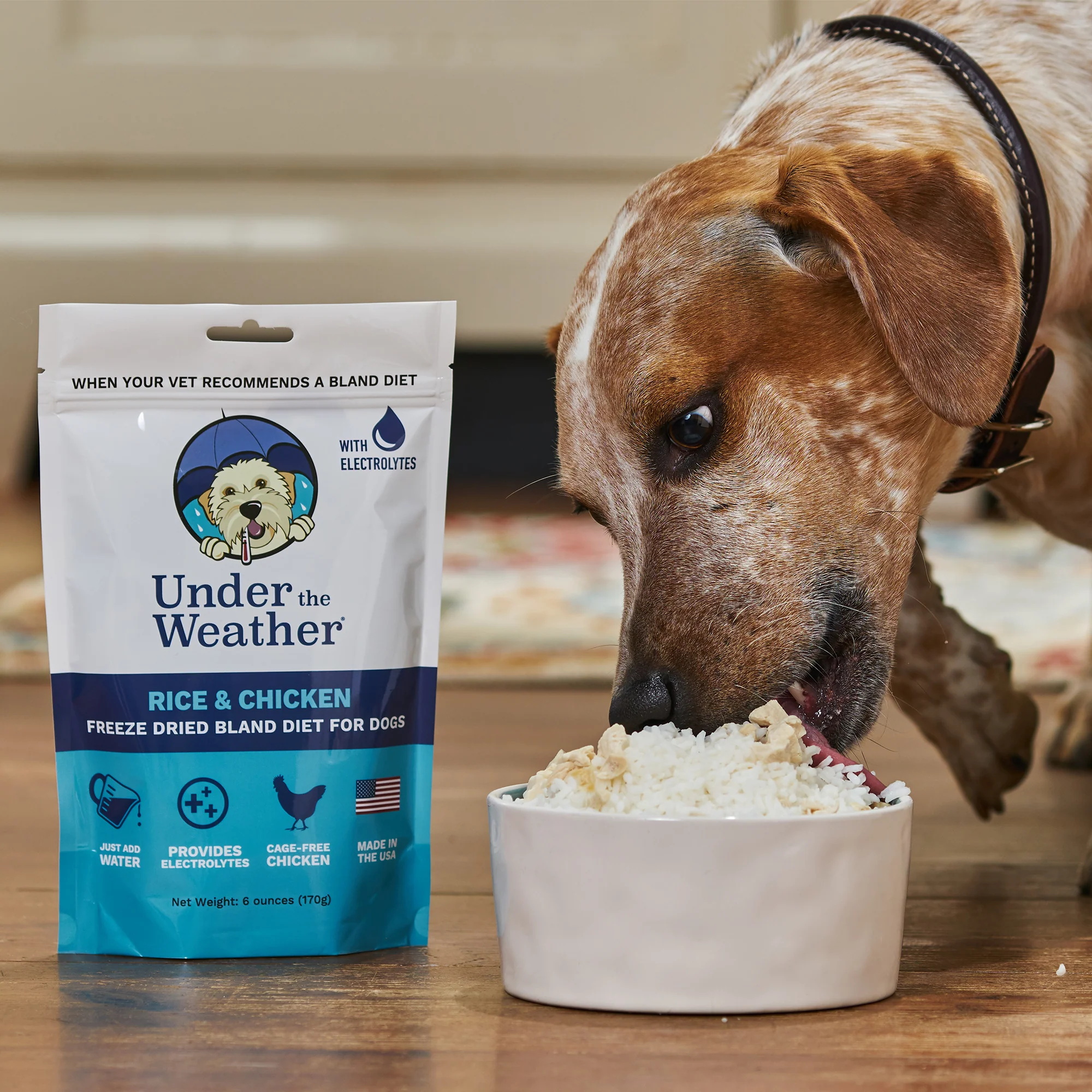 Mature Dog Bundle - Image 5