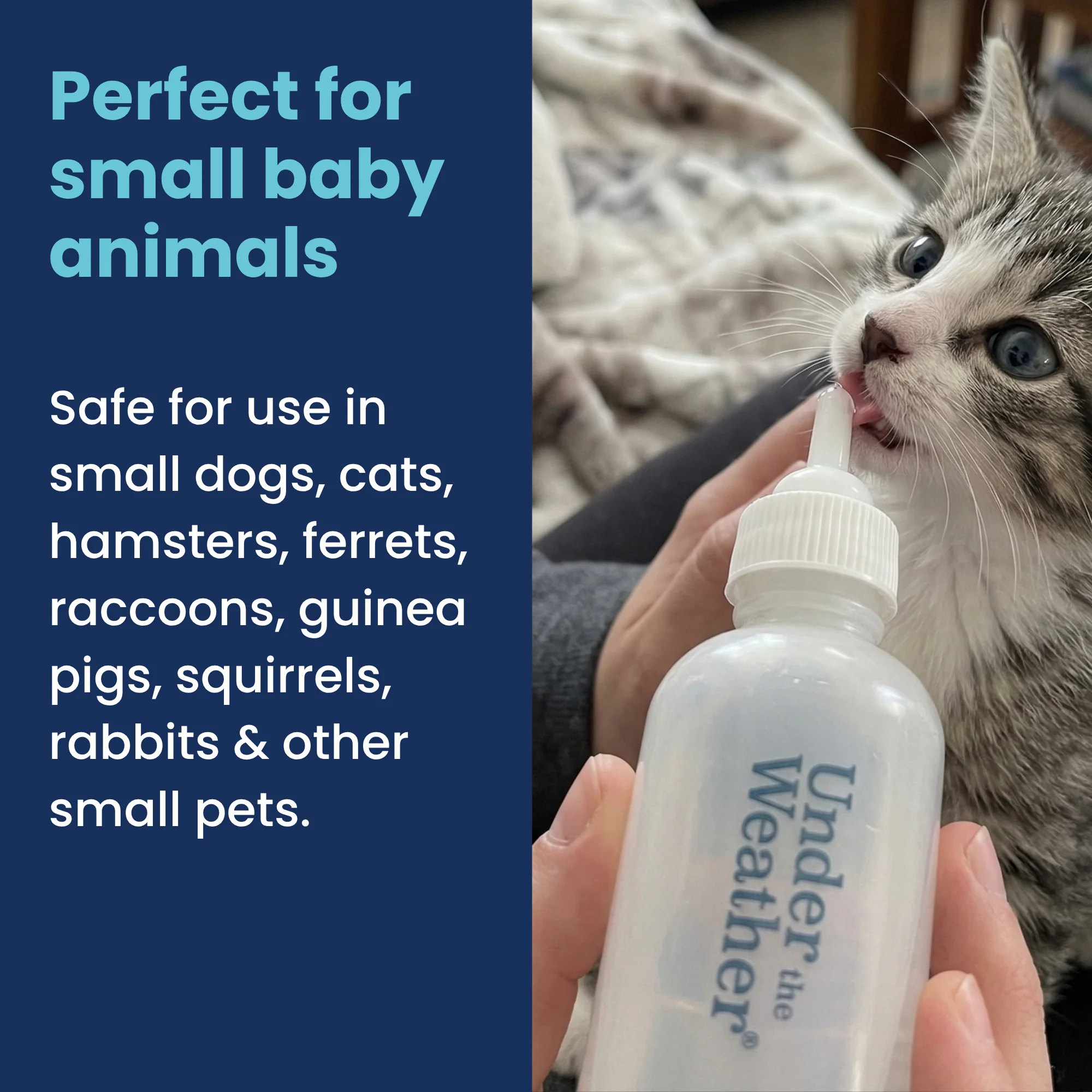 Nursing Kit for Kittens - 2oz - Image 3