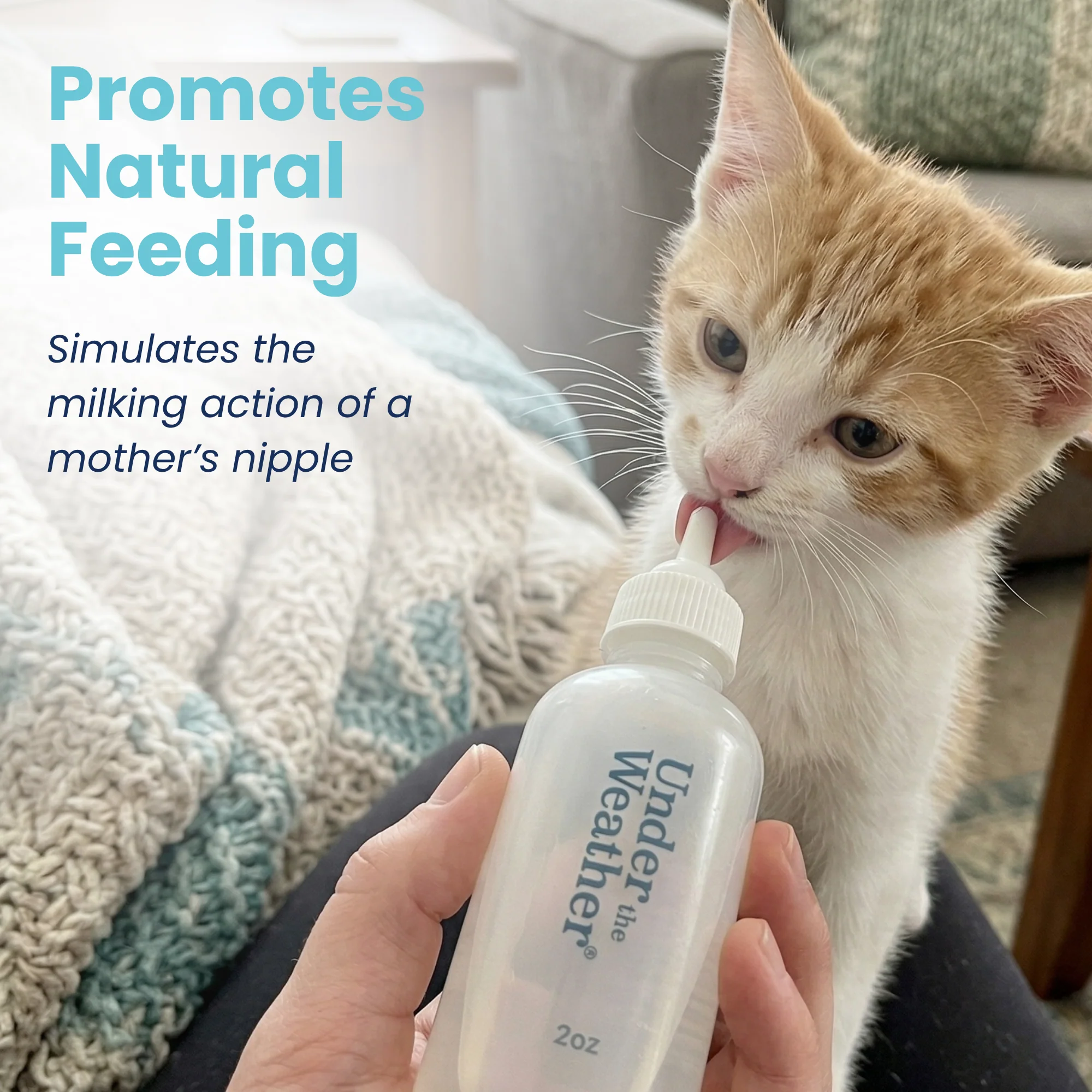 Nursing Kit for Kittens - 2oz - Image 6