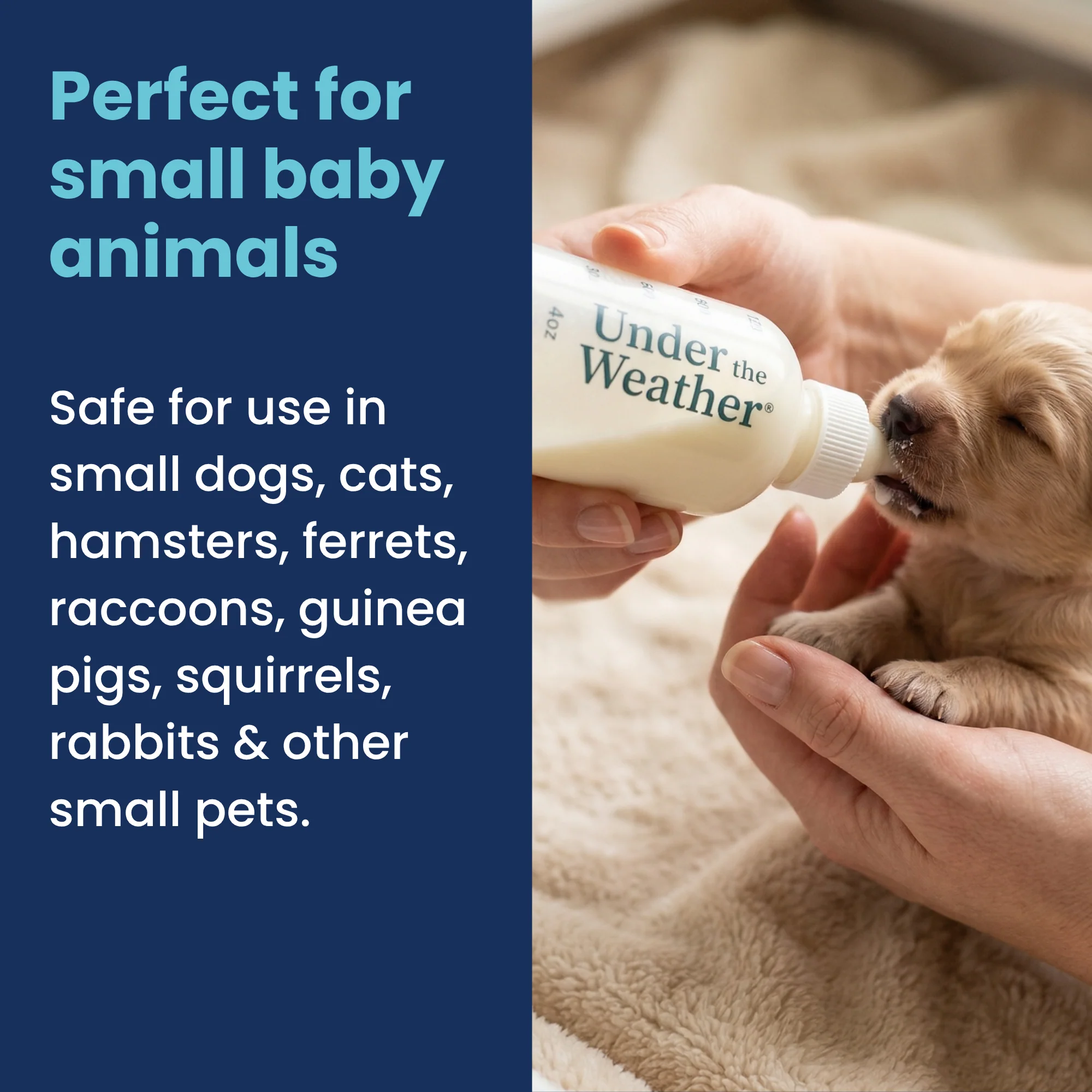 Nursing Kit for Puppies - 4oz - Image 3