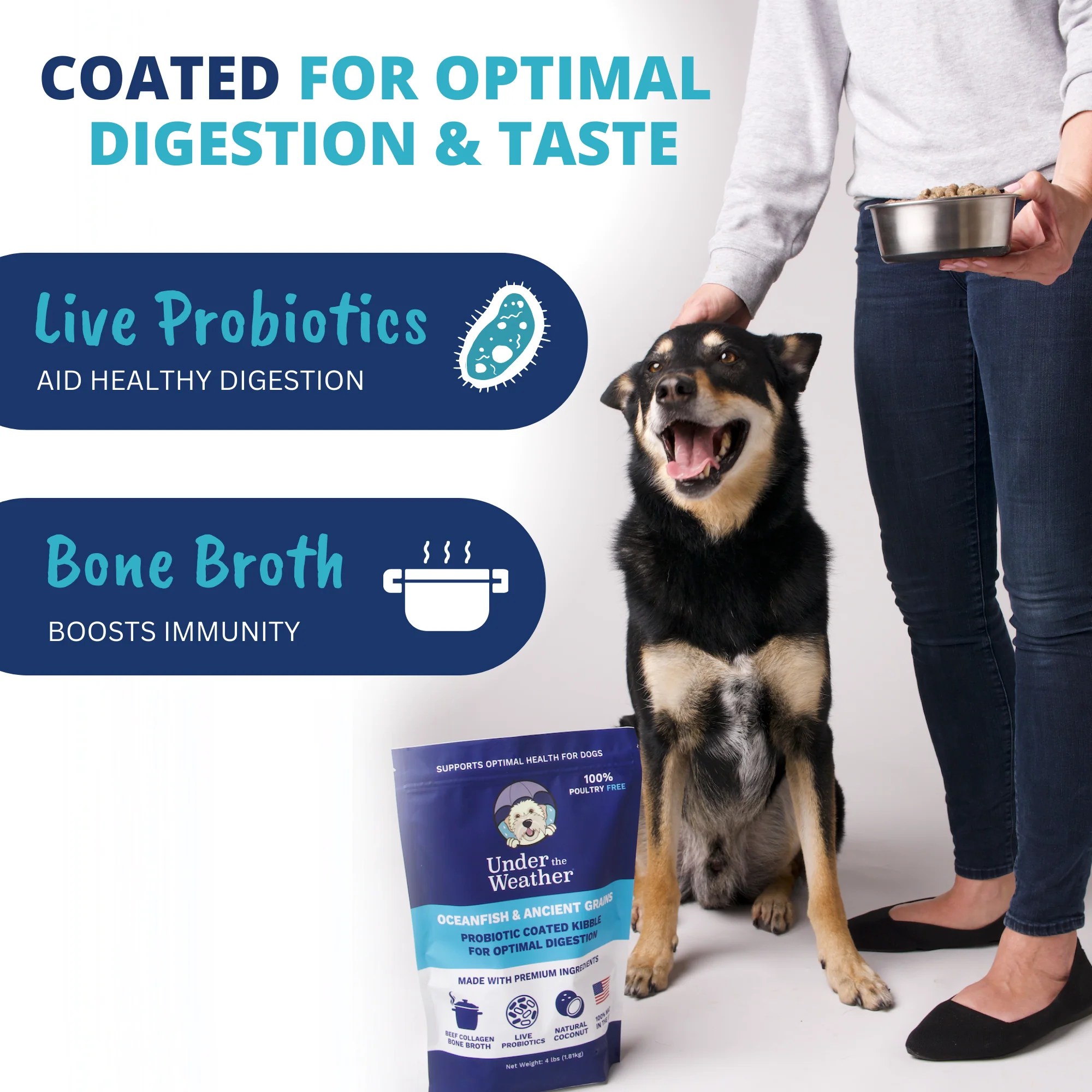 Probiotic & Bone Broth Coated Kibble For Dogs - Image 4