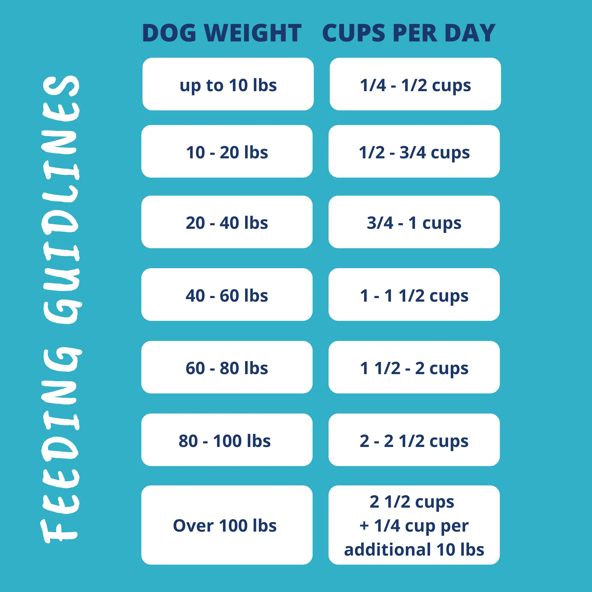 Probiotic & Bone Broth Coated Kibble For Dogs - Image 6