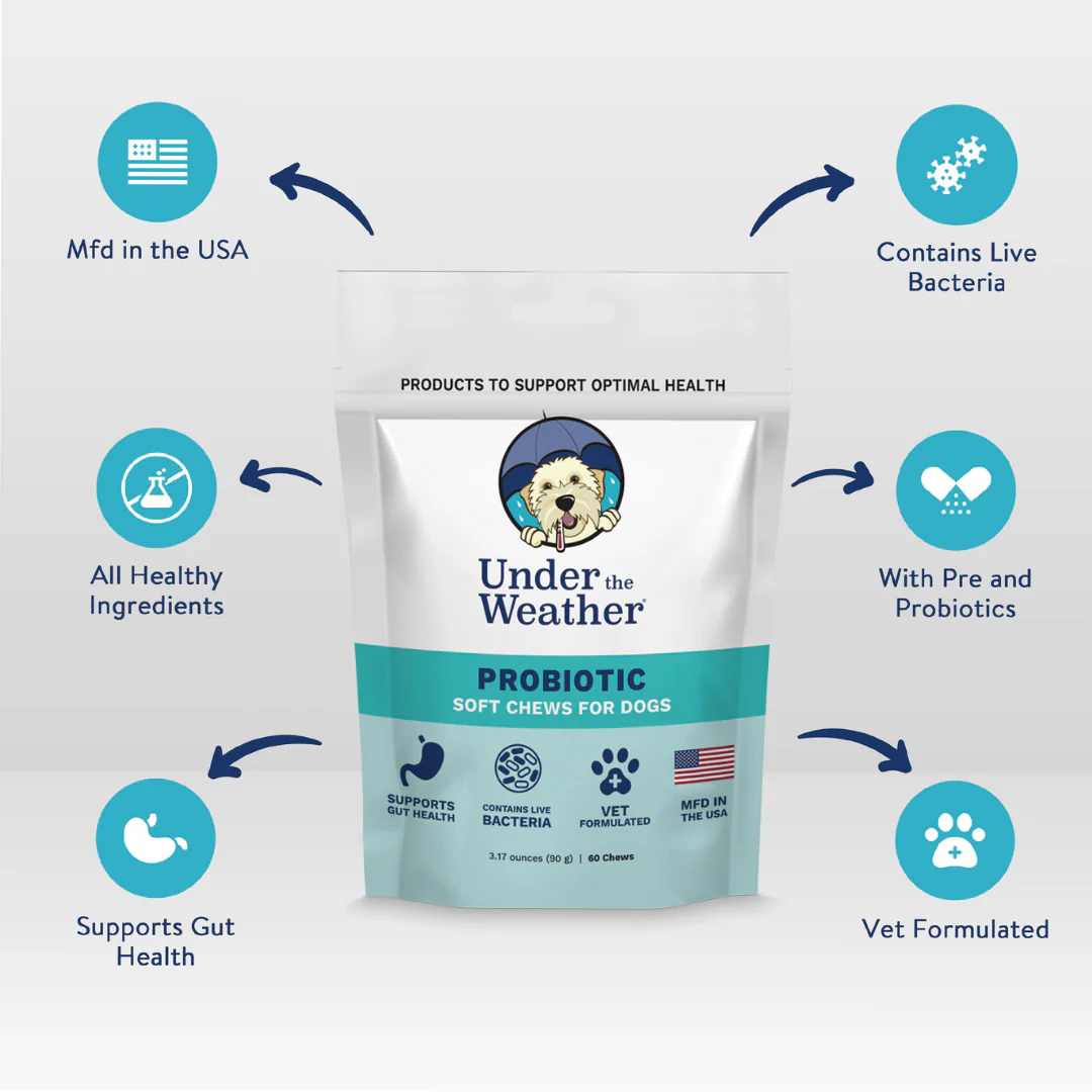 Probiotic Soft Chews For Dogs - Image 3