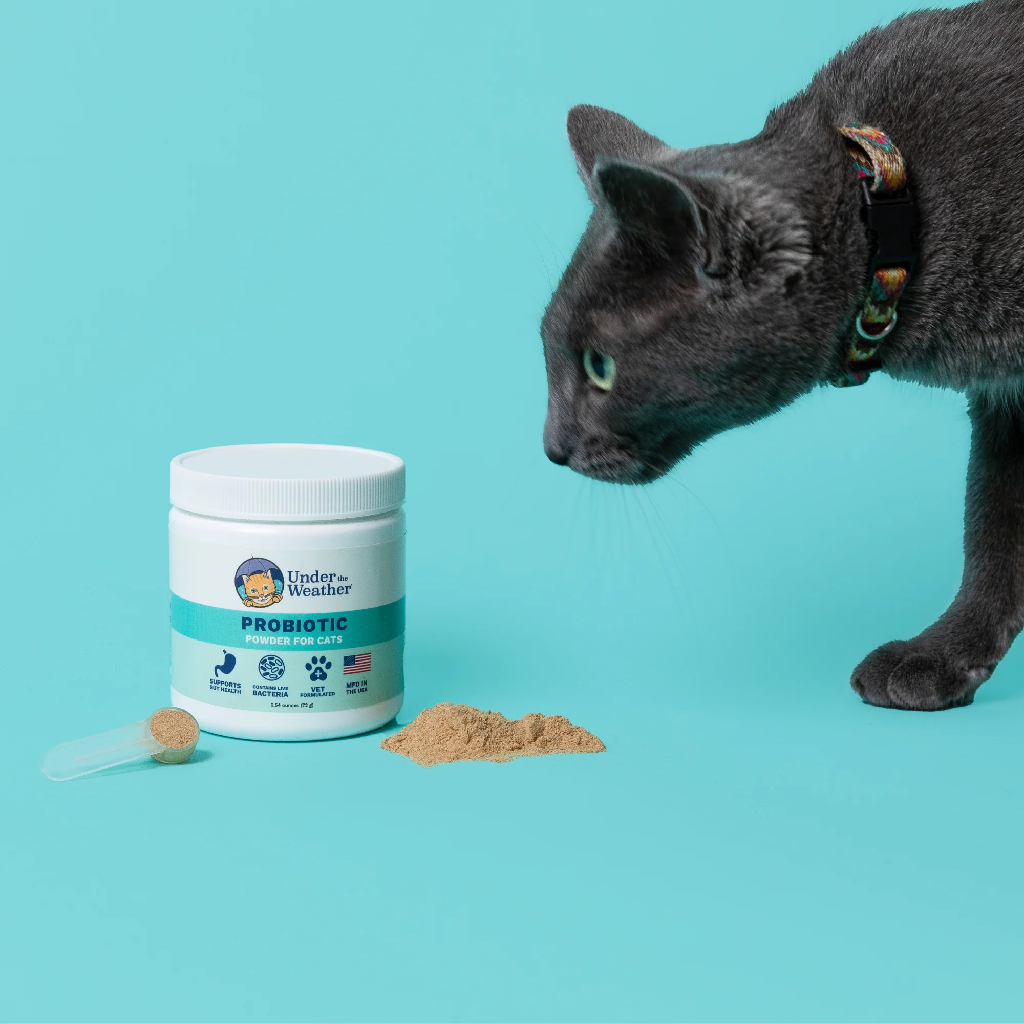 Probiotic Powder & Anti-Diarrhea Bundle For Cats - Image 6