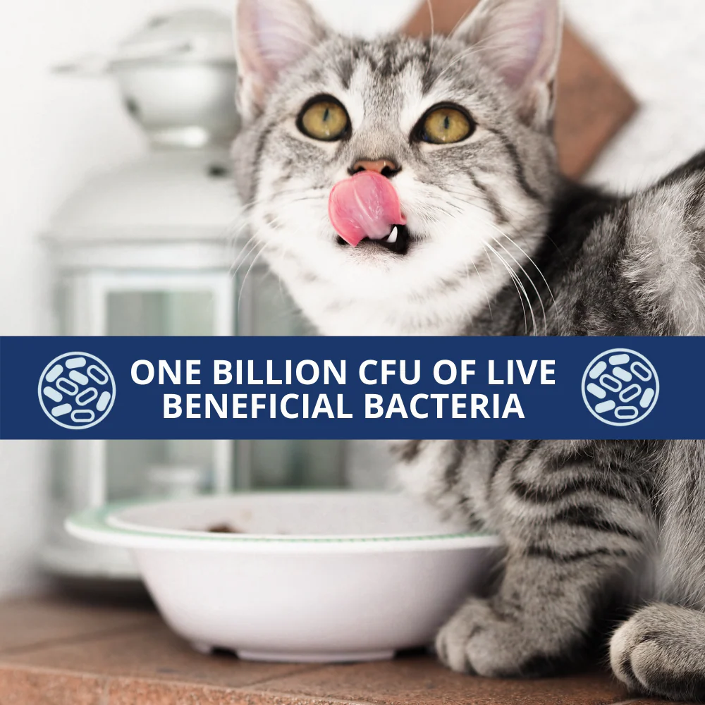 Probiotic Powder For Cats - Image 4