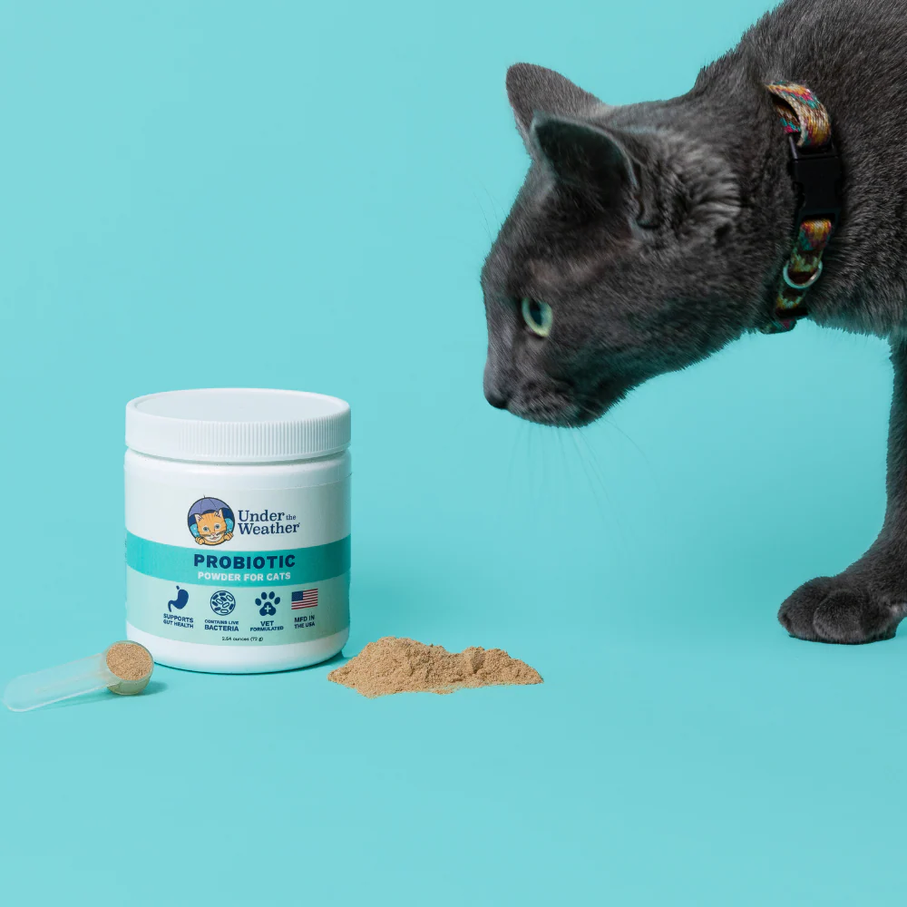 Probiotic Powder For Cats - Image 5