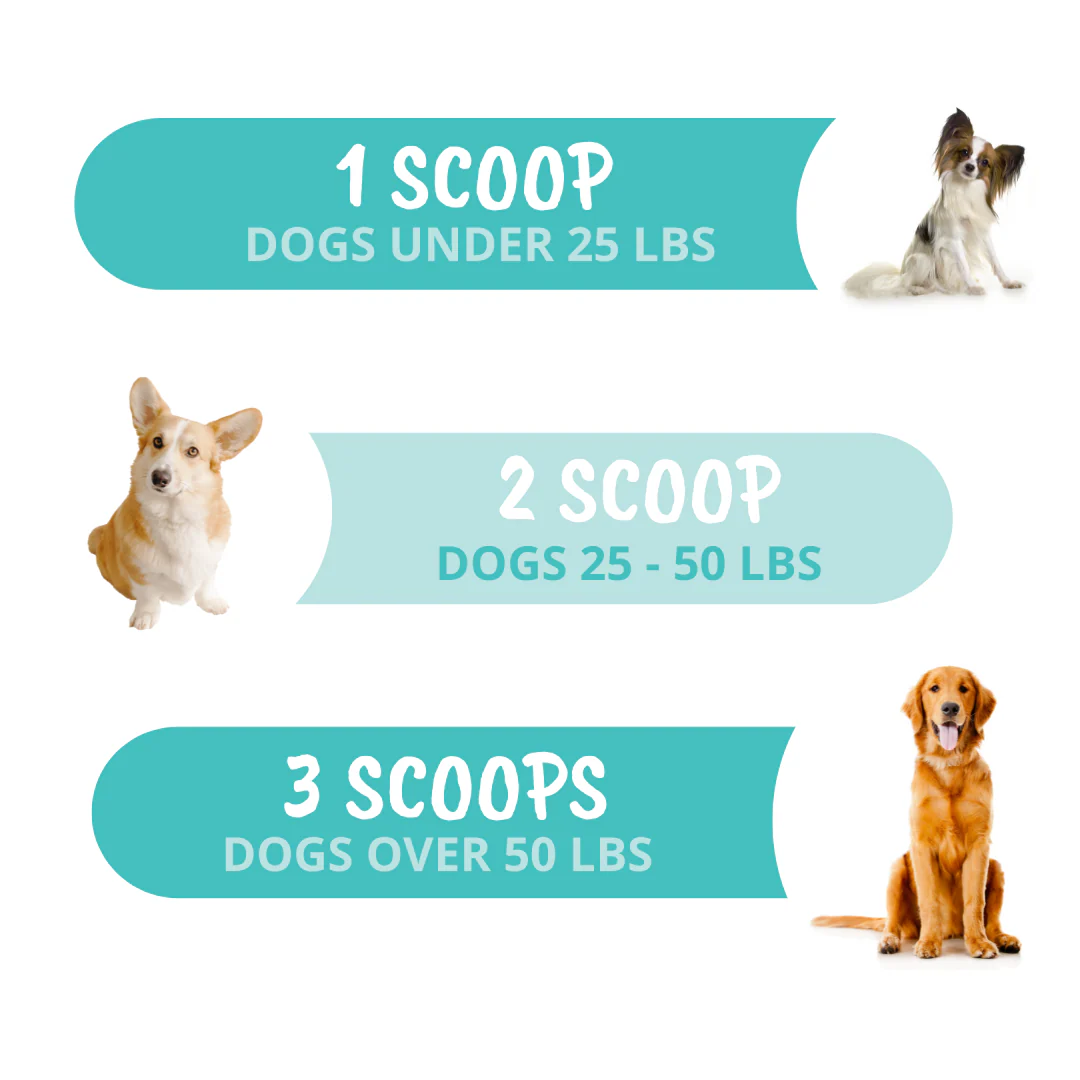 Probiotic Powder for Dogs - Image 4