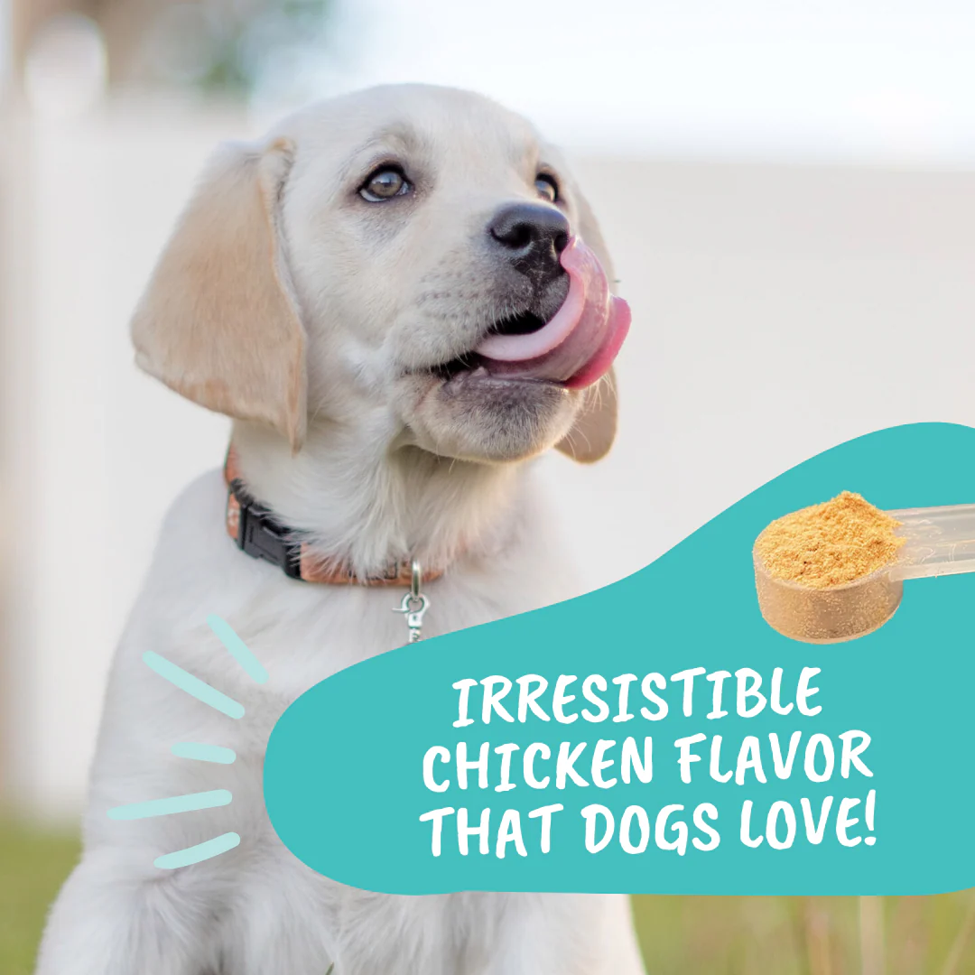 Probiotic Powder for Dogs - Image 5