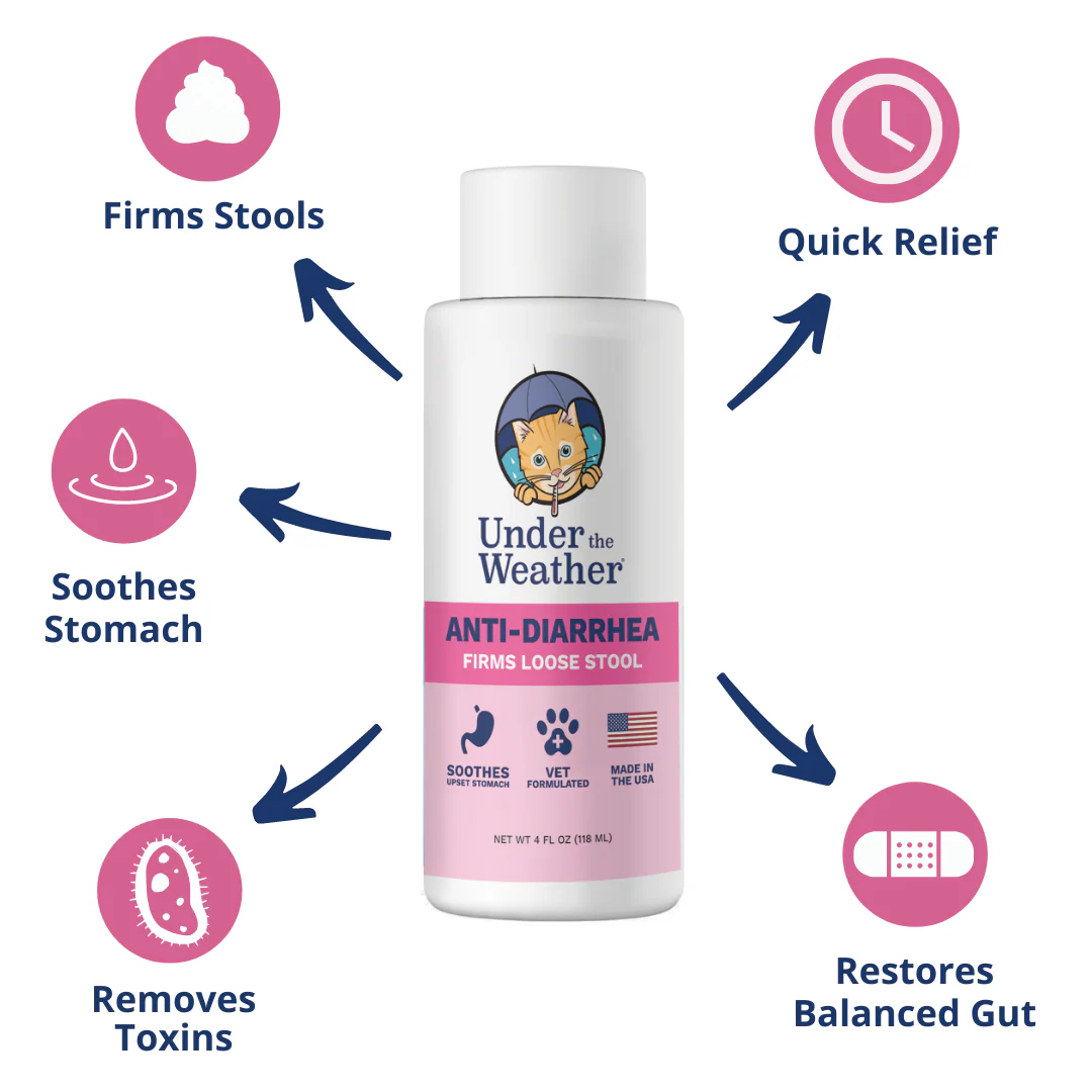 Probiotic Soft Chews & Anti-Diarrhea Bundle For Cats - Image 7