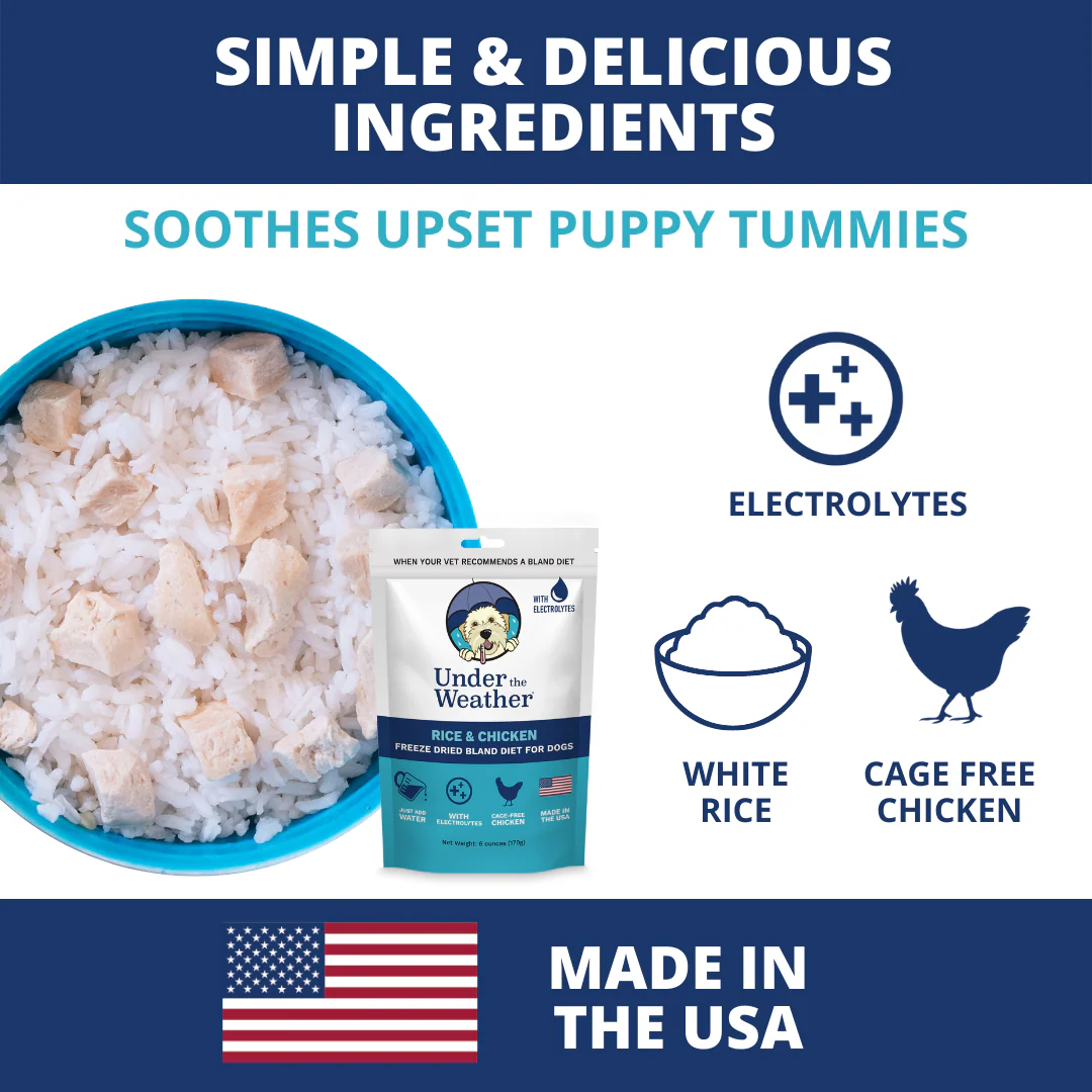 Puppy Starter Kit Bundle - Image 3
