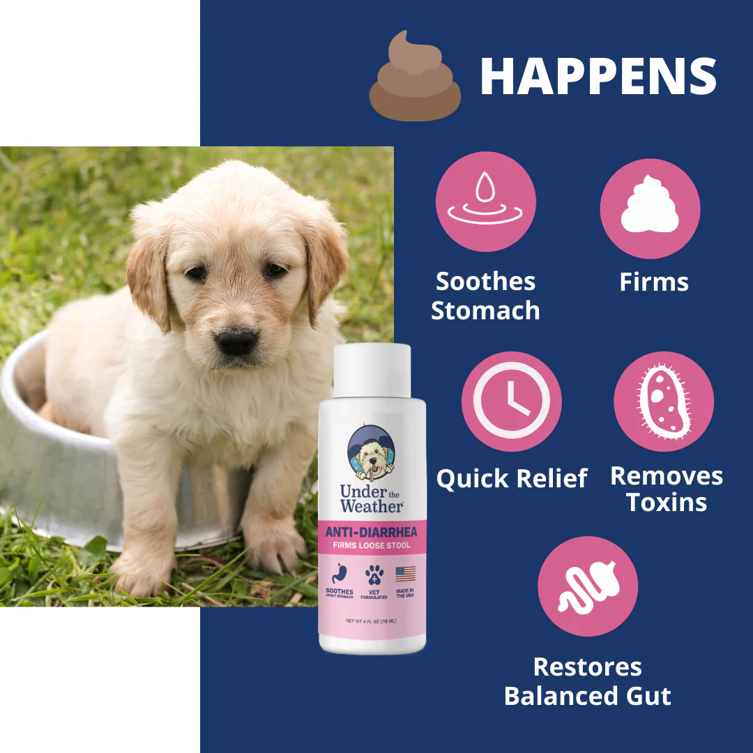 Puppy Starter Kit Bundle - Image 4